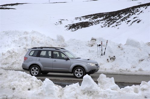 Subaru Forester Ski-DH 79